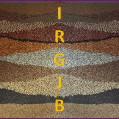 IRGJB / IPGR
